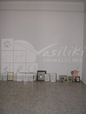 waiting room before3